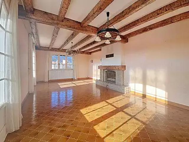 Laragne Montéglin 05300 Achat / Vente maison 11 pièces t11 terrasse cave
