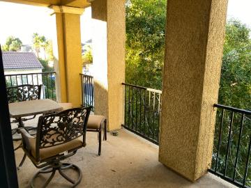 Vineyard, Elk Grove CCD Sacramento County California, Sacramento County, California, USA