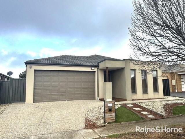 Large 4 Bedroom Home Walking distance to Tarneit Central!