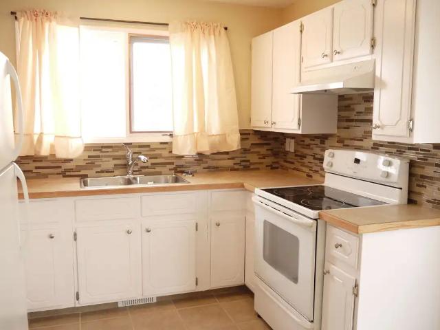 Large 1200sf 3BR/2BA near LRT w/ dbl grg newer kitchen,baths, fencd yard pets ok