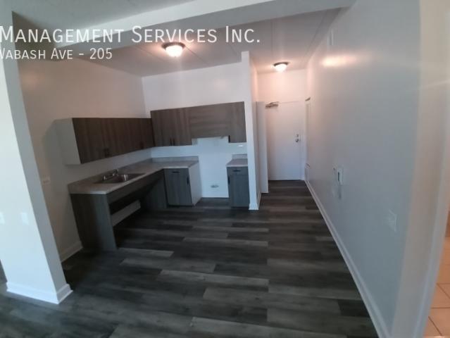 Large 2 Bed in Bronzeville Updated Kitchen, Open Floor Plan