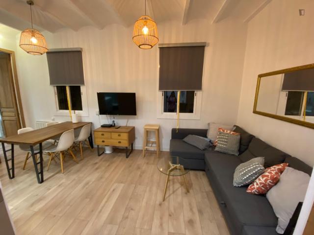 Large 2 bedroom apartment near Parc del Clot