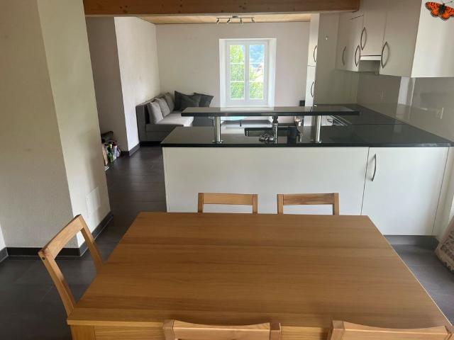 LARGE 2 ½ ROOM APARTMENT IN A VILLAGE HOUSE