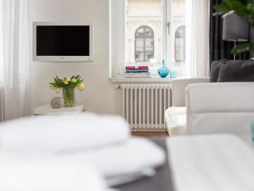 large 2 room apartment in the beautiful music district