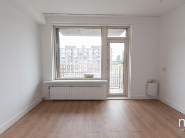 LARGE 3 BEDROOM APARTMENT FOR RENT!