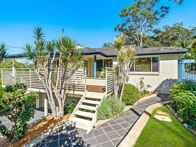 Large Terrigal Oasis
