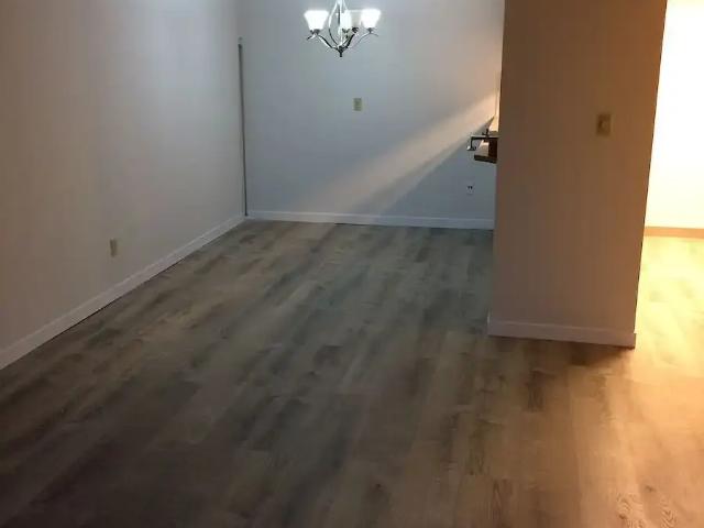 Large University Apt for Rent FIRST MONTH RENT FREE! — 2 Bedrooms Condo Unit
