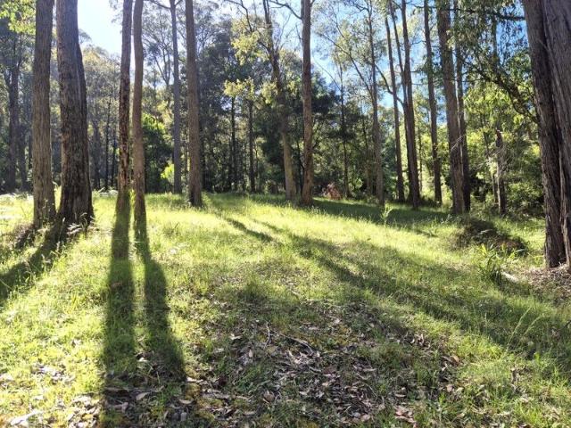 Large vacant land over 5600sqm