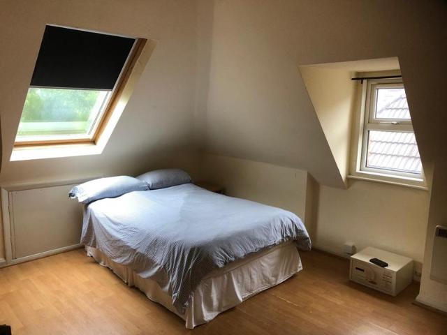 Large Well Lit Studio with Separate kitchen