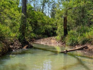 Large Acreage With Picturesque Views