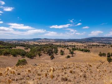 LARGE ACRES CLOSE TO MUDGEE