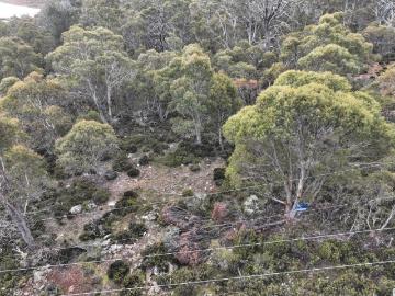 Tods Corner, Meander Valley, Rabbit Island, Latrobe, Cloudy Bay, Kingborough, Tasmania Island