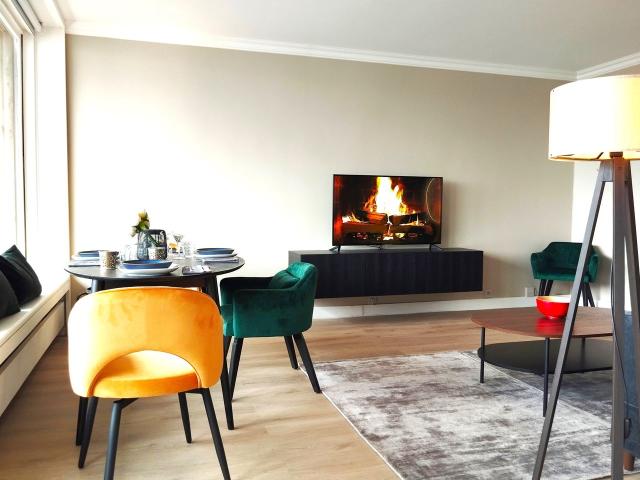 large apartment 55m² view near Eiffel, Paris Amsterdam Apartments for Rent