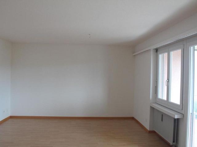 Large, centrally located apartment