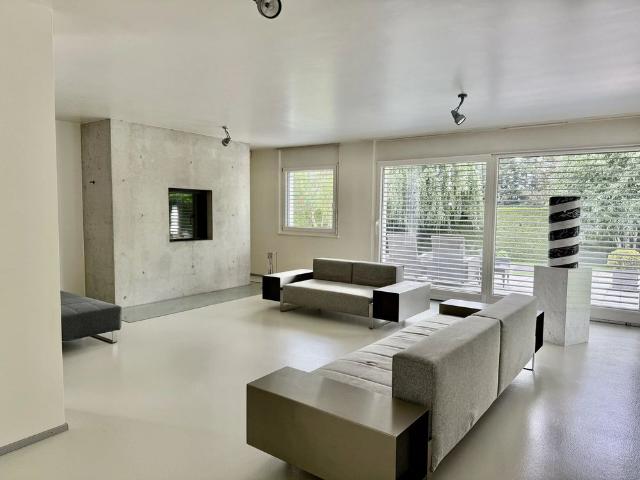 Large contemporary villa 500m², pool, quiet, view of the Jura