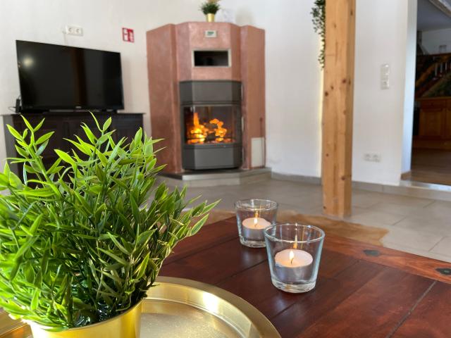 Large cozy apartment