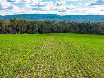 Tabulam, Kyogle County, Queensland