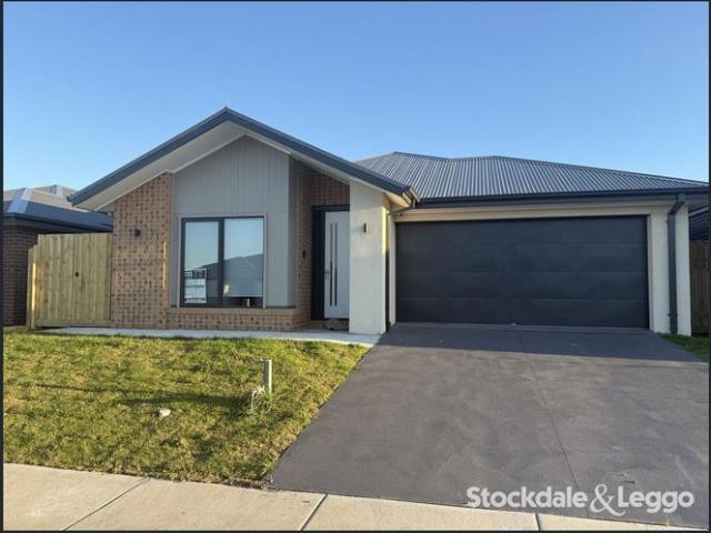 Large family home