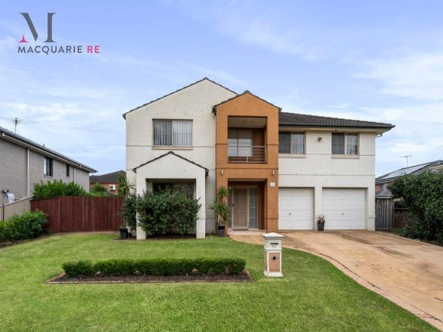 Large Family Home with Side Access on 702sqm Block