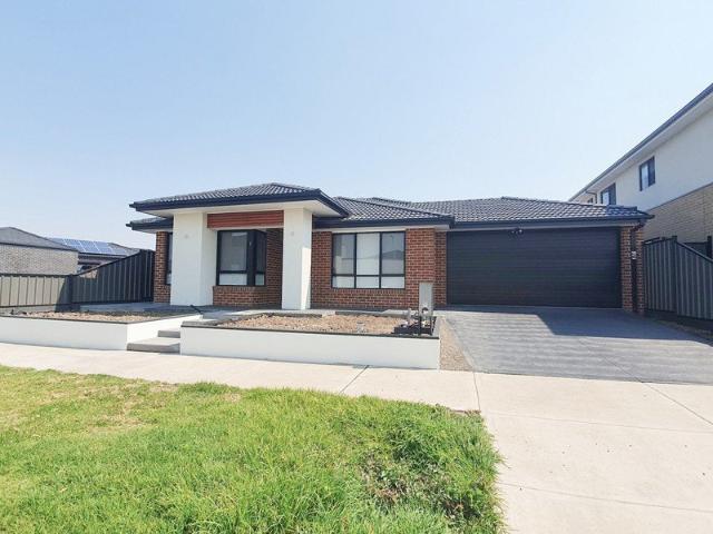 Large Family Home & Big Backyard!