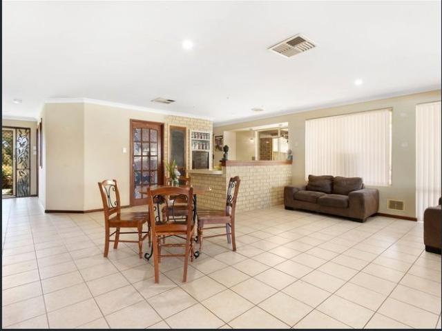 Large Family? We Got You Covered!