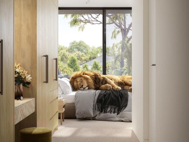 Large Format 2, 3 & 4 Bedroom Apartments in Leafy Kew