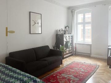 Large flat in Friedrichshain with cat, Berlin Amsterdam Apartments for Rent