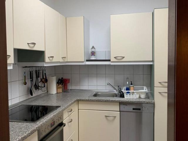 Large + Fully Furnished 1BR Apartment | 10 20 Min to Patch, Panzer & Airport