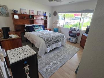 San Diego County, California, USA - Garden