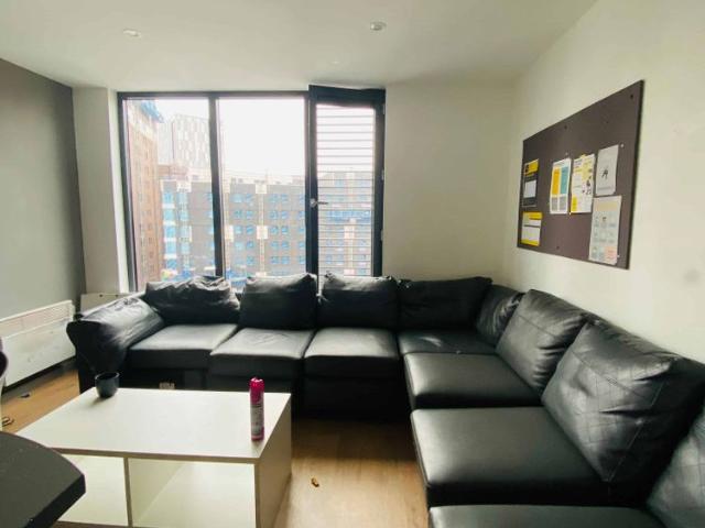 Large High Double Studio