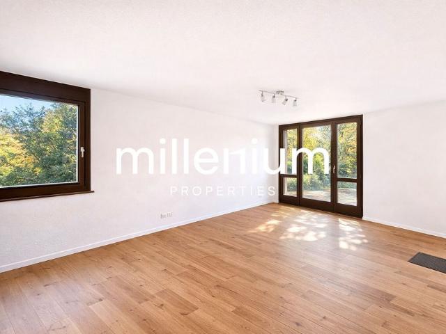 Large house with pool in Versoix