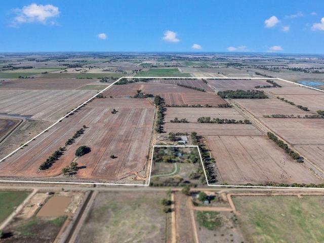 Large Irrigation Farm