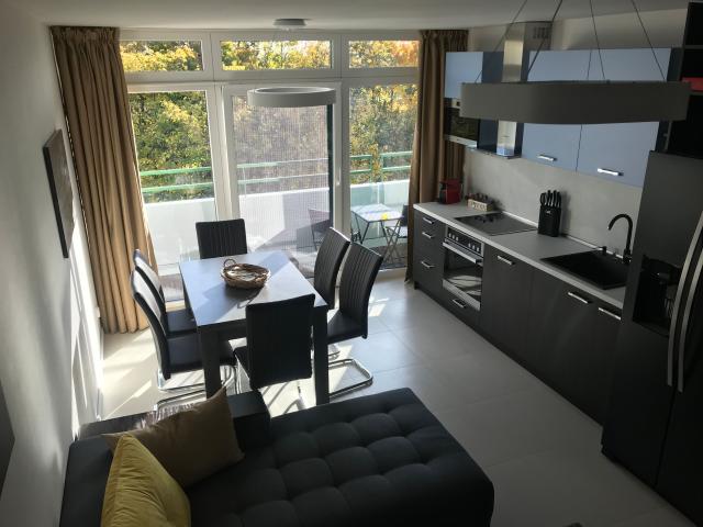 Large Luxury Apartment with view in Munich