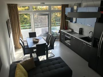 Large Luxury Apartment with view in Munich