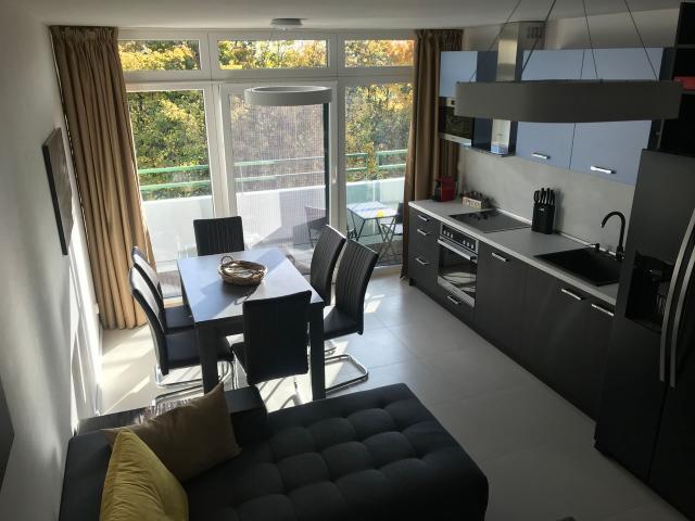 Large Luxury Apartment with view in Munich, Munchen Amsterdam Apartments for Rent