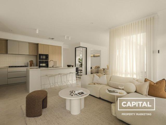 Large Luxury Single Level Home on Park with NORTH facing courtyard