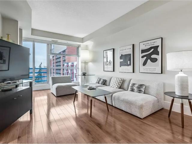 Large Modern Apartment, pristine view of the Bow River. Walkability 10 — 1 Bedroom Condo Unit