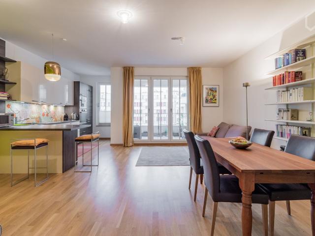 Large, modern apartment with balcony in Berlin Mitte, Berlin Amsterdam Apartments for Rent