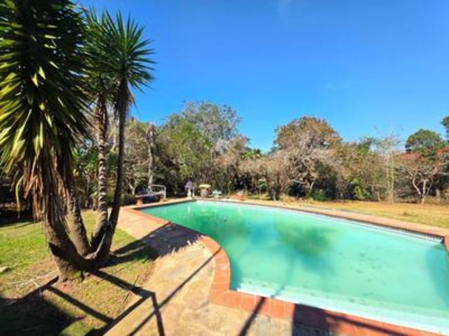 large pet friendly apartment, kloof