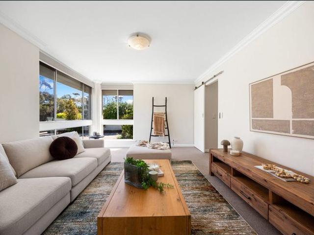 Large Powered Shed and Outdoor Entertaining Areas