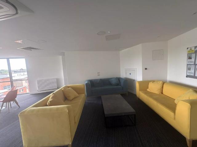 Large Premium Studio
