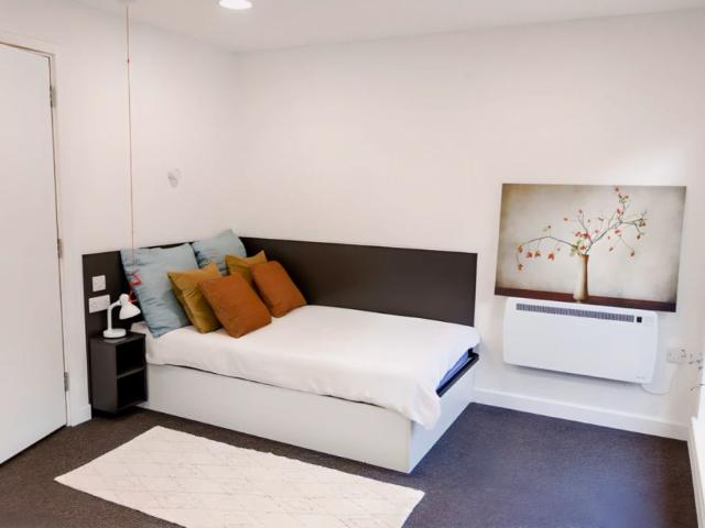 Large Premium Studio Accessible