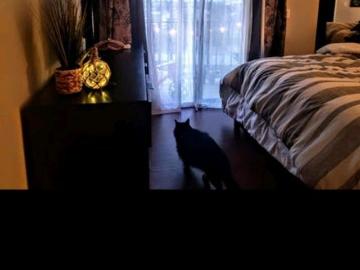 Peck city, Nez Perce County, Idaho, USA