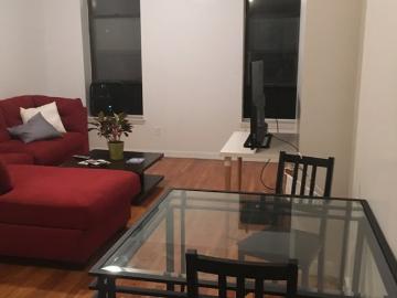 Flatbush, New York city, New York, USA