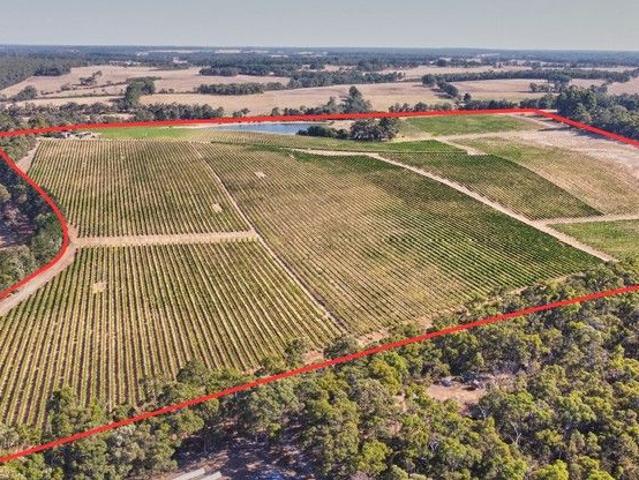 Large rural holding in the Margaret River hinterland
