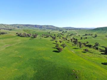 Large Scale 3,258* Acre Eastern Riverina Grazing and Cropping Property