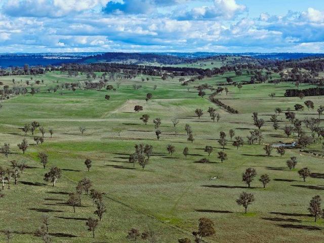 LARGE SCALE WALCHA BREEDING COUNTRY