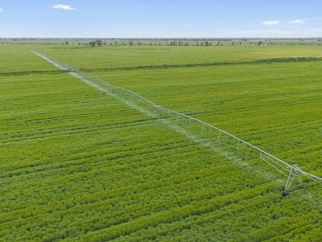 LARGE SCALE IRRIGATED CROPPING PORTFOLIO