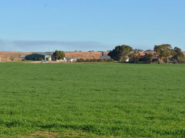 13 individual titles River frontage Vendor willing to sell titles individually