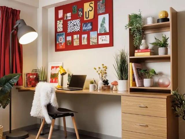 Large Standard Double Studio